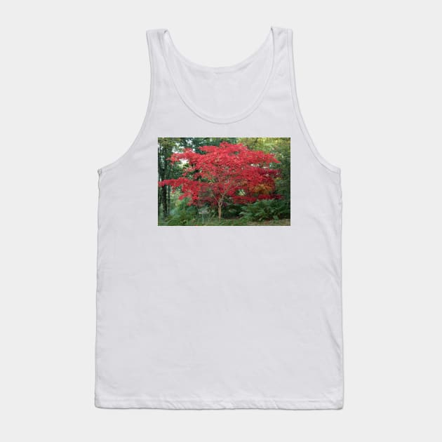 Red Maple Tree Tank Top by pinkal